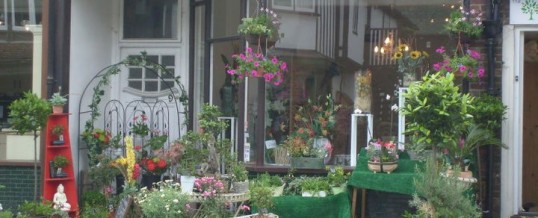 Denise Thompson Designer Florist – Otford / Sevenoaks Update – Fresh Flowers available daily, Please feel free to visit us & see our fresh selection of Flowers & Plants.we look forward to seeing you.